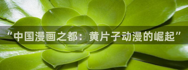 行业资讯